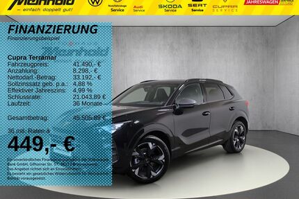 Cupra Terramar Gebrauchtwagen