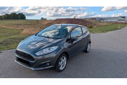 Ford Fiesta Gebrauchtwagen