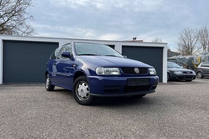 VW Polo Gebrauchtwagen