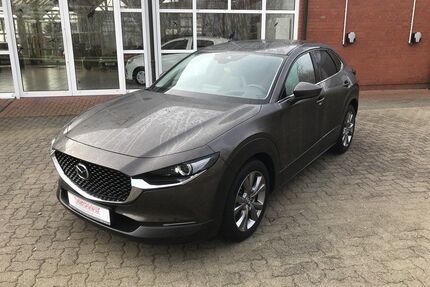 Mazda CX-30 Gebrauchtwagen