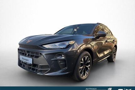 Cupra Terramar Gebrauchtwagen