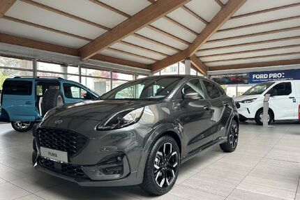 Ford Puma Gebrauchtwagen