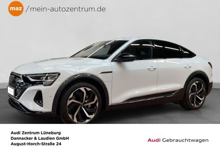 Audi Q8 e-tron Gebrauchtwagen