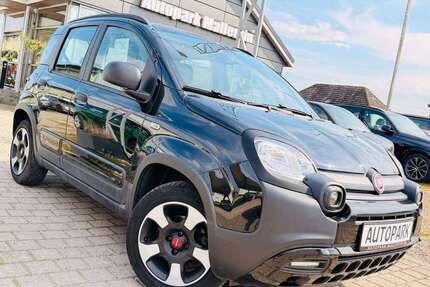Fiat Panda Gebrauchtwagen