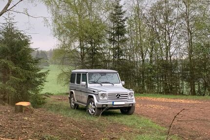 Mercedes-Benz G 500 Gebrauchtwagen