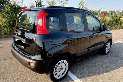 Fiat Panda Gebrauchtwagen