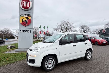 Fiat Panda Gebrauchtwagen