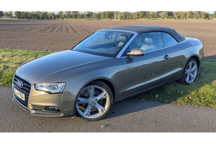 Audi A5 Gebrauchtwagen