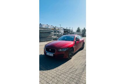 Jaguar XE Gebrauchtwagen