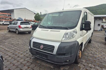 Fiat Ducato Gebrauchtwagen