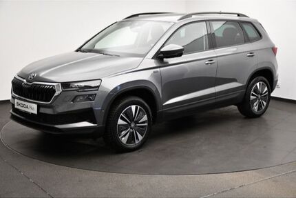 Skoda Karoq Gebrauchtwagen