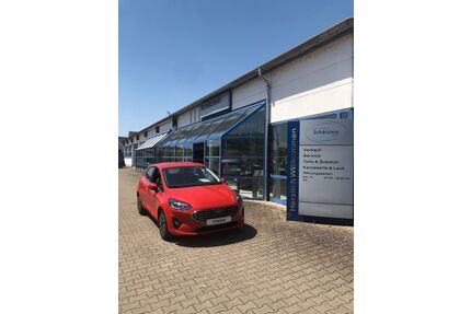 Ford Fiesta Gebrauchtwagen