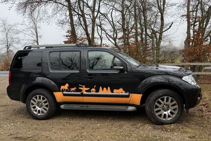 Nissan Pathfinder Gebrauchtwagen