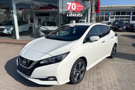 Nissan Leaf Gebrauchtwagen