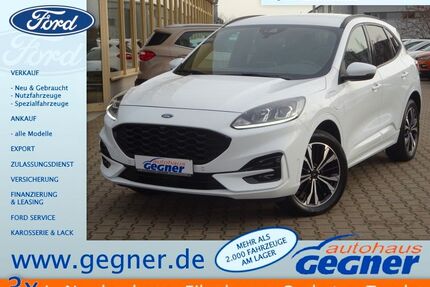 Ford Kuga Gebrauchtwagen