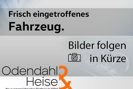Cupra Andere Gebrauchtwagen