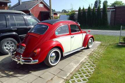 VW Käfer Gebrauchtwagen