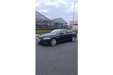 Jaguar XJ Gebrauchtwagen