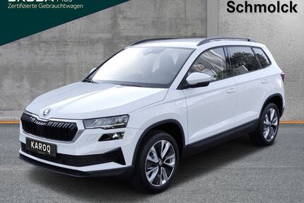 Skoda Karoq Gebrauchtwagen
