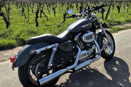 Harley Davidson 1200 Custom Gebrauchtwagen
