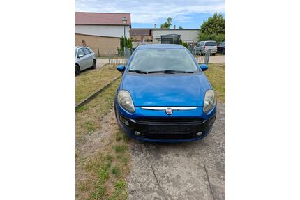 Fiat Punto Evo Gebrauchtwagen