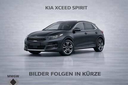 Kia XCeed Gebrauchtwagen
