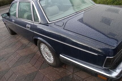 Jaguar XJ40 Gebrauchtwagen