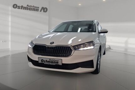 Skoda Fabia Gebrauchtwagen