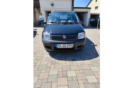 Fiat Panda Gebrauchtwagen