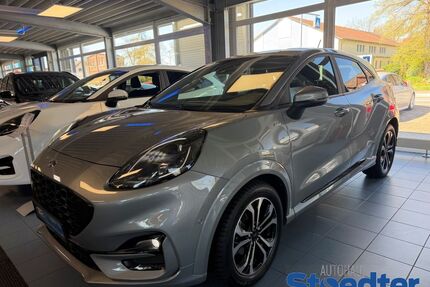 Ford Puma Gebrauchtwagen