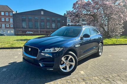 Jaguar F-Pace Gebrauchtwagen