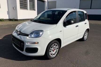 Fiat Panda Gebrauchtwagen