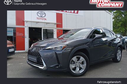 Lexus UX Gebrauchtwagen