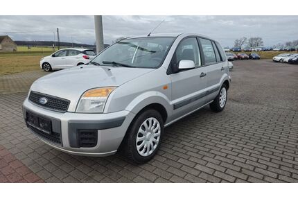 Ford Fusion Gebrauchtwagen