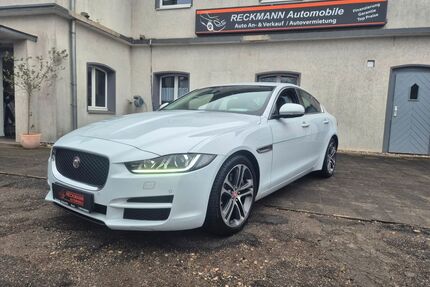 Jaguar XE Gebrauchtwagen