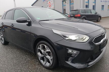 Kia ceed / Ceed Gebrauchtwagen