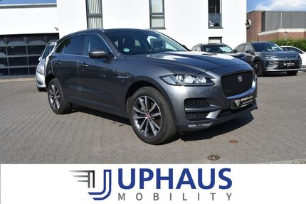 Jaguar F-Pace Gebrauchtwagen