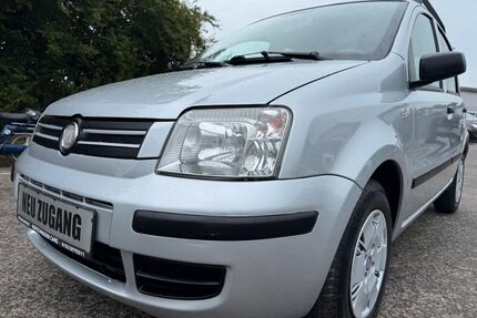 Fiat Panda Gebrauchtwagen