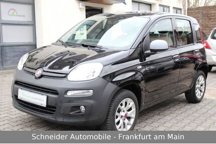 Fiat New Panda Gebrauchtwagen