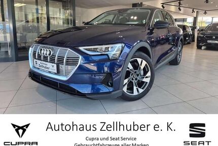 Audi e-tron Gebrauchtwagen