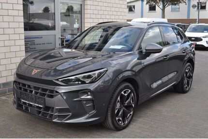 Cupra Terramar Gebrauchtwagen