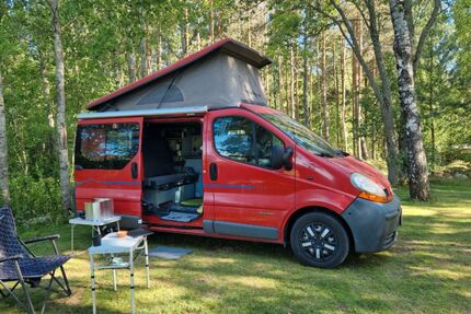Renault Trafic Gebrauchtwagen