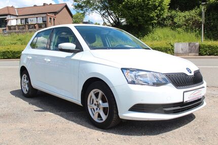 Skoda Fabia Gebrauchtwagen