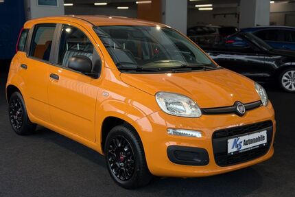 Fiat Panda Gebrauchtwagen