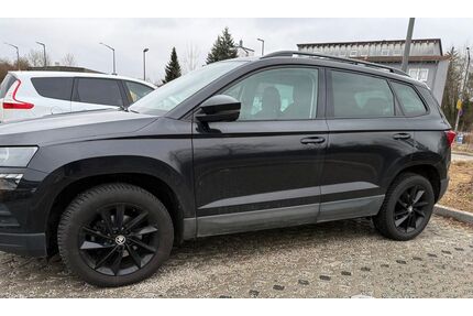 Skoda Karoq Gebrauchtwagen