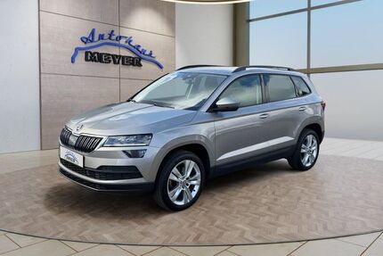 Skoda Karoq Gebrauchtwagen