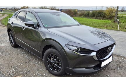 Mazda CX-30 Gebrauchtwagen