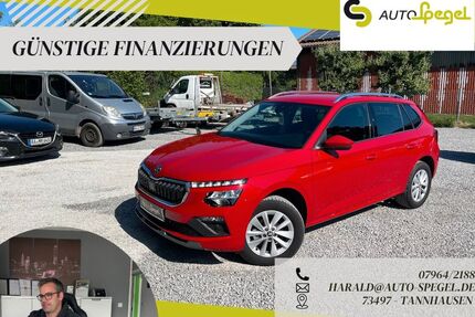Skoda Kamiq Gebrauchtwagen