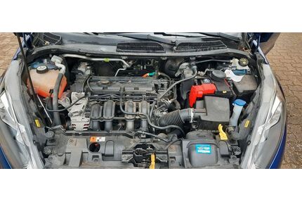Ford Fiesta Gebrauchtwagen