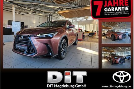 Lexus NX 350h Gebrauchtwagen